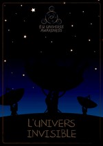 L’Univers invisible (de la radioastronomie aux rayons X - 12 activités)