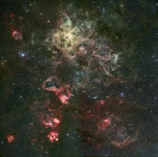 The Tarantula Nebula