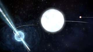 Even Massive Stars Fall Like a Feather