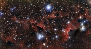 The Wings of the Seagull Nebula