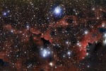 The Wings of the Seagull Nebula