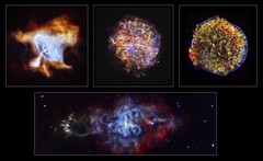 X-ray Vision Reveals the Insides of Stars