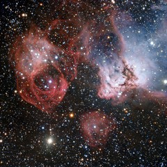 Cosmic Dragon Breathes New Life into the Night Sky