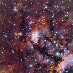 The Prawn Nebula