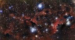 The Wings of the Seagull Nebula